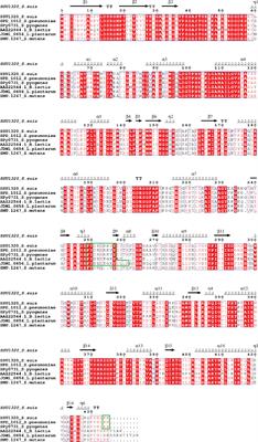 Identification of plasminogen-binding sites in Streptococcus suis enolase that contribute to bacterial translocation across the blood-brain barrier